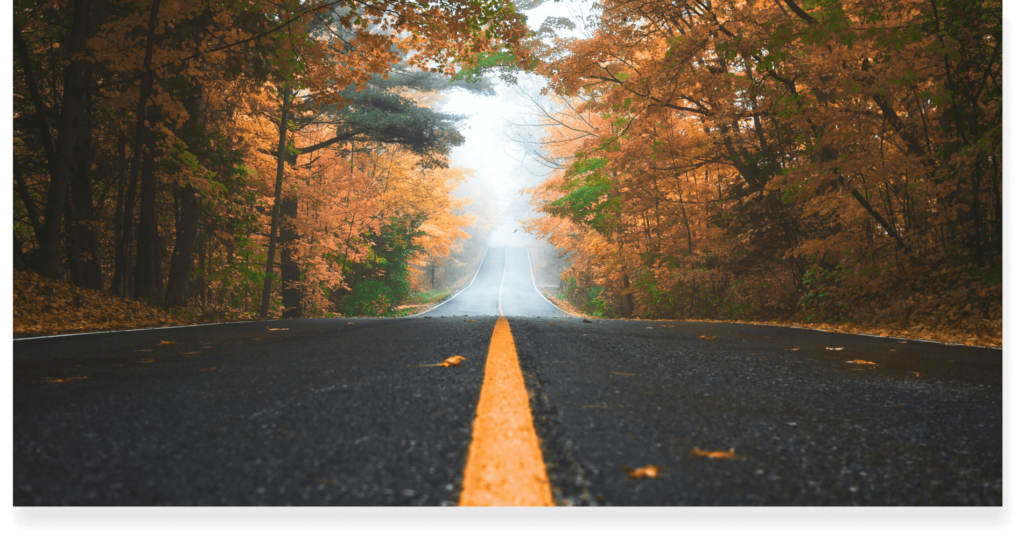 A picture of a road in a forest in autumn